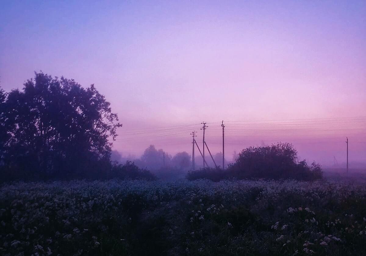 半岛体育官网：开启体育娱乐新纪元