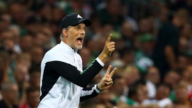 1692445994172073831.jpeg 1692445994172073831.jpeg