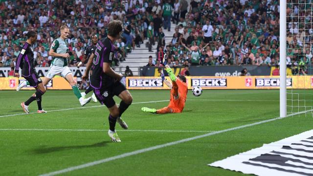 1692446146383073527.jpeg 1692446146383073527.jpeg